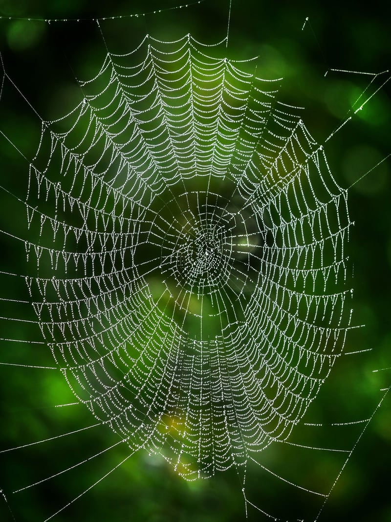 Networking Image